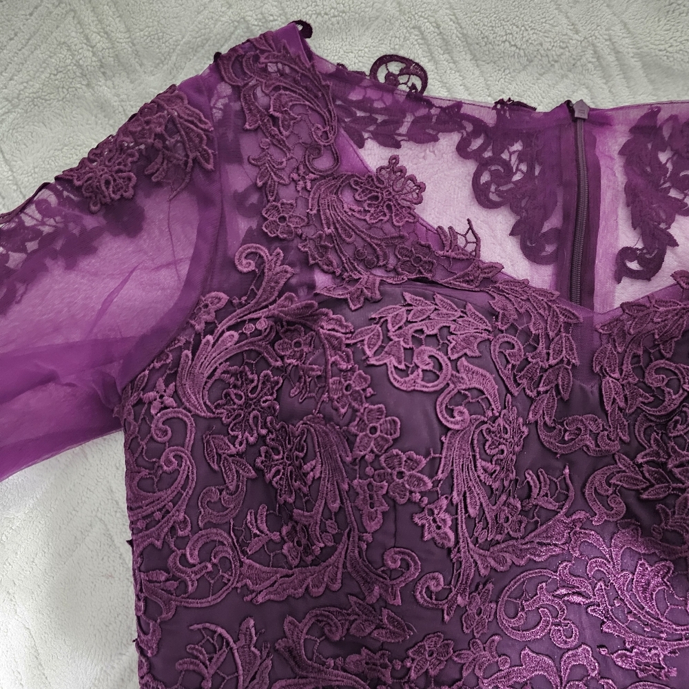 Plun Sheer Lace Occasion Dress - Picture 3 of 7